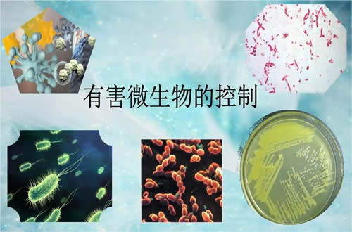 病原体污染 对人和生物有害的微生物